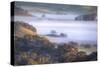 Light and Fog Moving Through Petaluma Hills, California-Vincent James-Stretched Canvas