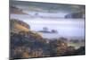 Light and Fog Moving Through Petaluma Hills, California-Vincent James-Mounted Photographic Print