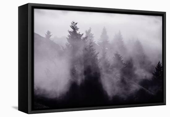 Light and Fog Play in Black and White, Nature Abstract-Vincent James-Framed Stretched Canvas