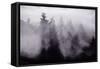 Light and Fog Play in Black and White, Nature Abstract-Vincent James-Framed Stretched Canvas