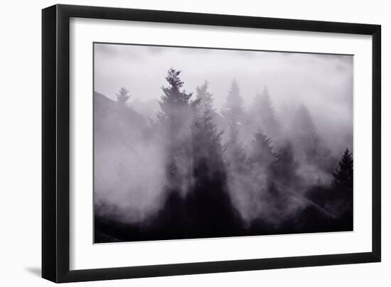 Light and Fog Play in Black and White, Nature Abstract-Vincent James-Framed Photographic Print