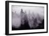 Light and Fog Play in Black and White, Nature Abstract-Vincent James-Framed Photographic Print