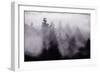 Light and Fog Play in Black and White, Nature Abstract-Vincent James-Framed Photographic Print