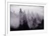 Light and Fog Play in Black and White, Nature Abstract-Vincent James-Framed Photographic Print