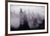 Light and Fog Play in Black and White, Nature Abstract-Vincent James-Framed Photographic Print