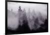 Light and Fog Play in Black and White, Nature Abstract-Vincent James-Framed Photographic Print