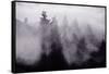 Light and Fog Play in Black and White, Nature Abstract-Vincent James-Framed Stretched Canvas