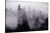 Light and Fog Play in Black and White, Nature Abstract-Vincent James-Stretched Canvas