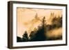 Light and Fog Play Mount Tamalpais, Marin County, San Francisco-Vincent James-Framed Photographic Print