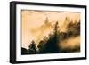 Light and Fog Play Mount Tamalpais, Marin County, San Francisco-Vincent James-Framed Photographic Print