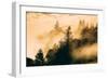 Light and Fog Play Mount Tamalpais, Marin County, San Francisco-Vincent James-Framed Photographic Print