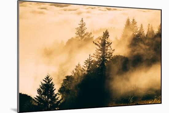 Light and Fog Play Mount Tamalpais, Marin County, San Francisco-Vincent James-Mounted Photographic Print