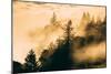 Light and Fog Play Mount Tamalpais, Marin County, San Francisco-Vincent James-Mounted Photographic Print