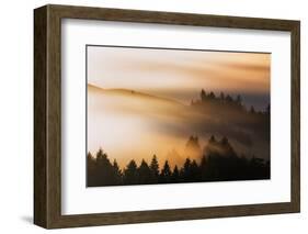 Light and Mist Sweep, Hills and Fog, Mount Tamalpais Marin County-Vincent James-Framed Photographic Print