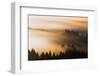 Light and Mist Sweep, Hills and Fog, Mount Tamalpais Marin County-Vincent James-Framed Photographic Print