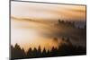 Light and Mist Sweep, Hills and Fog, Mount Tamalpais Marin County-Vincent James-Mounted Photographic Print