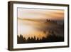 Light and Mist Sweep, Hills and Fog, Mount Tamalpais Marin County-Vincent James-Framed Photographic Print