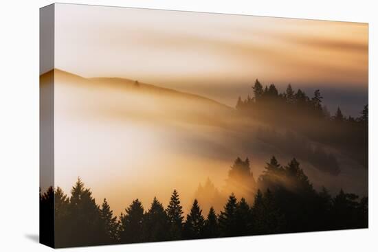 Light and Mist Sweep, Hills and Fog, Mount Tamalpais Marin County-Vincent James-Stretched Canvas