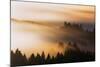 Light and Mist Sweep, Hills and Fog, Mount Tamalpais Marin County-Vincent James-Mounted Photographic Print