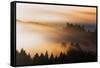 Light and Mist Sweep, Hills and Fog, Mount Tamalpais Marin County-Vincent James-Framed Stretched Canvas