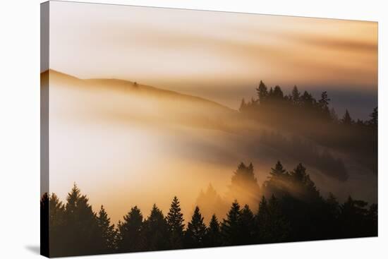 Light and Mist Sweep, Hills and Fog, Mount Tamalpais Marin County-Vincent James-Stretched Canvas