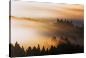 Light and Mist Sweep, Hills and Fog, Mount Tamalpais Marin County-Vincent James-Stretched Canvas