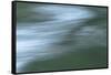 Light And Motion-Anthony Paladino-Framed Stretched Canvas