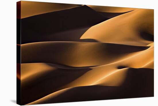 Light And Shadow-Mohammadreza Momeni-Stretched Canvas