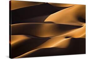 Light And Shadow-Mohammadreza Momeni-Stretched Canvas