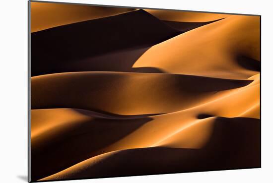 Light and Shadow-Mohammadreza Momeni-Mounted Photographic Print