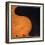 Light and Shadow-Piet Flour-Framed Photographic Print