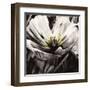 Light and Shadow-Liz Jardine-Framed Art Print