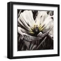 Light and Shadow-Liz Jardine-Framed Art Print