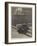 Light and Shadow-Matthew White Ridley-Framed Giclee Print
