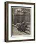 Light and Shadow-Matthew White Ridley-Framed Giclee Print