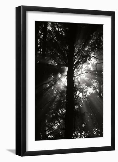 Light and Shadows I-Erin Berzel-Framed Photographic Print