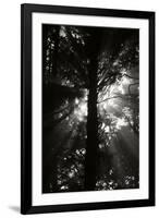 Light and Shadows I-Erin Berzel-Framed Photographic Print