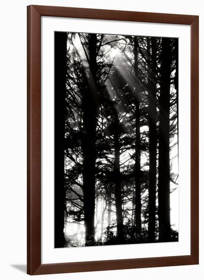 Light and Shadows II-Erin Berzel-Framed Photographic Print