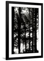 Light and Shadows II-Erin Berzel-Framed Photographic Print