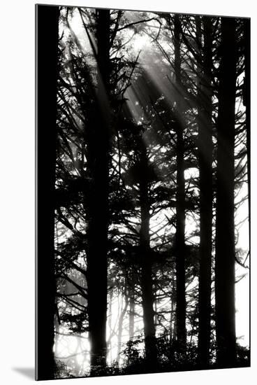 Light and Shadows II-Erin Berzel-Mounted Photographic Print