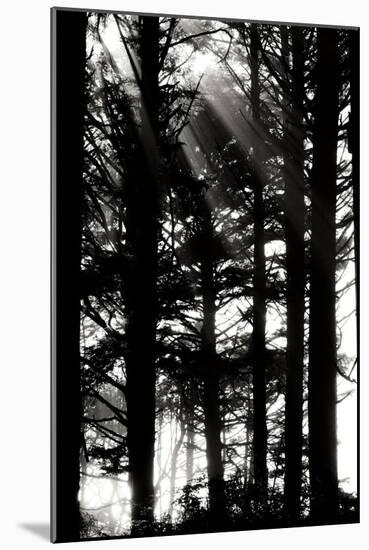 Light and Shadows II-Erin Berzel-Mounted Photographic Print