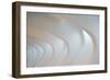 Light Angles-Denise Ann-Framed Photographic Print