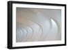 Light Angles-Denise Ann-Framed Photographic Print