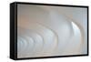 Light Angles-Denise Ann-Framed Stretched Canvas