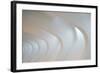 Light Angles-Denise Ann-Framed Photographic Print