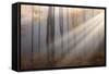 Light around the Corner-Alexandru Ionut Coman-Framed Stretched Canvas