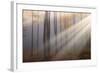 Light around the Corner-Alexandru Ionut Coman-Framed Giclee Print