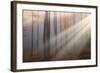 Light around the Corner-Alexandru Ionut Coman-Framed Giclee Print