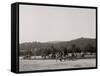 Light Artillery Drill, Hand Battery, West Point, N.Y.-null-Framed Stretched Canvas