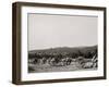 Light Artillery Drill, Hand Battery, West Point, N.Y.-null-Framed Photo